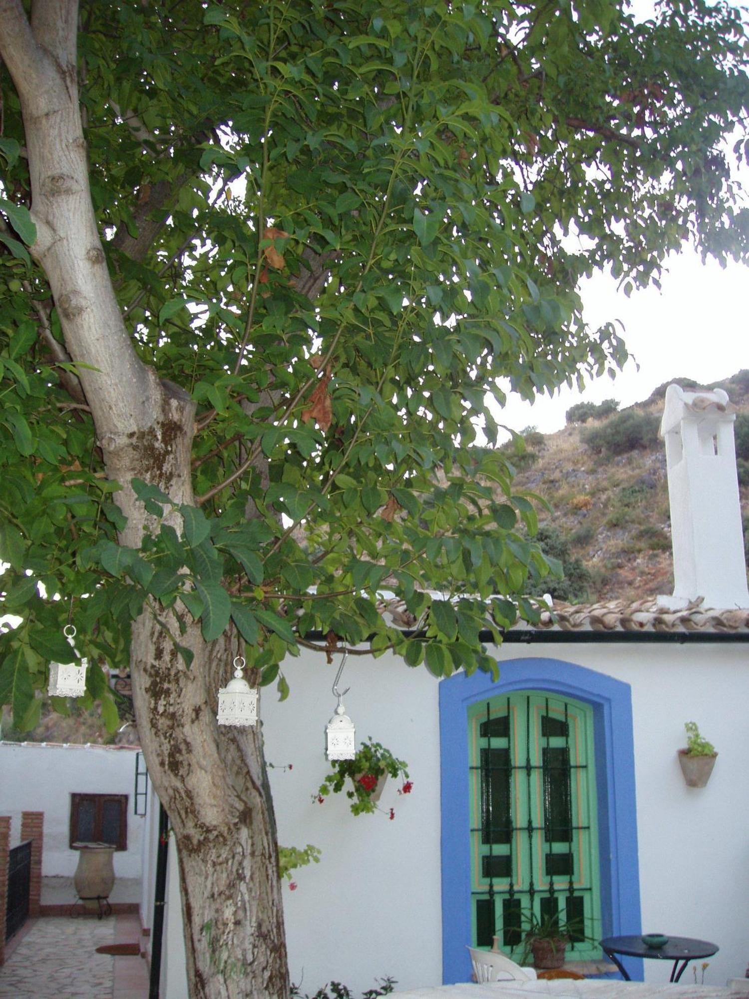 El Rincon De Carmen Guest House Rute Eksteriør bilde