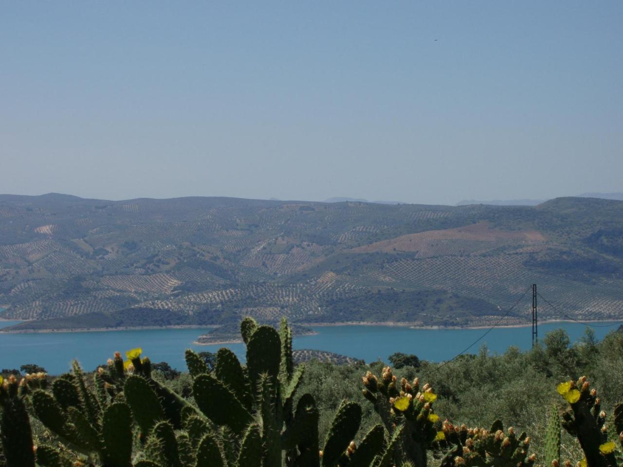 El Rincon De Carmen Guest House Rute Eksteriør bilde